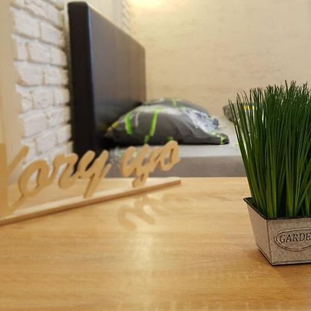 New Luxury Studio Apartment Ivano-Frankivszk Kültér fotó