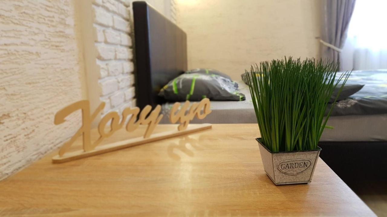 New Luxury Studio Apartment Ivano-Frankivszk Kültér fotó